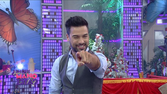 Programa 239