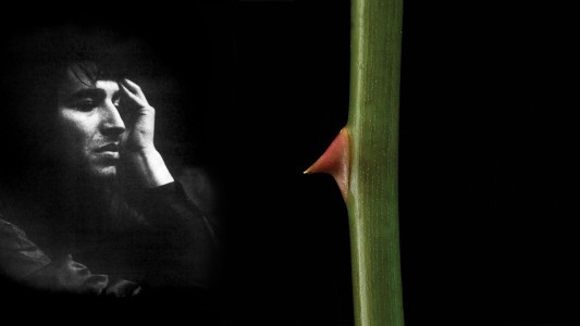 "Sandro Dúos", el nuevo álbum con los éxitos del Gitano