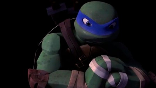 Una tortuga particular