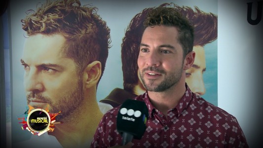 David Bisbal en una etapa feliz