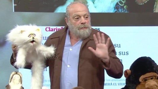 El Dr. Romero revisa los gatos embalsamados de Daniela Cardone