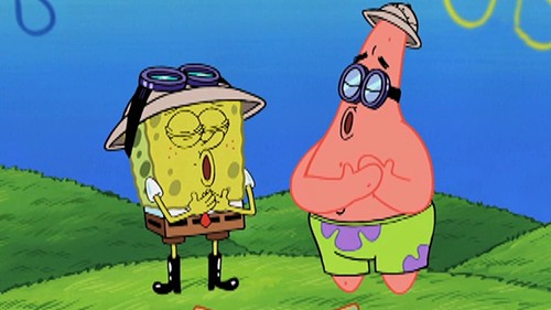 La canción de pescar medusas