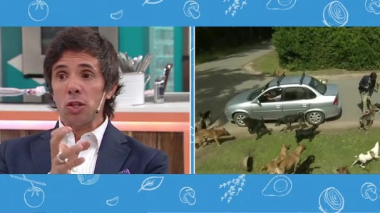 "Me asusté mucho pero zafé"