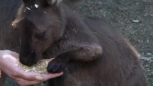 Susana, Marley y Mirko recorren un parque ecológico