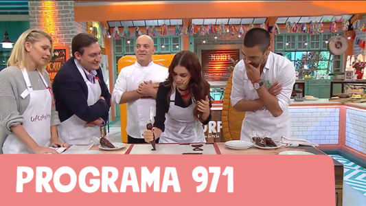 Programa 971