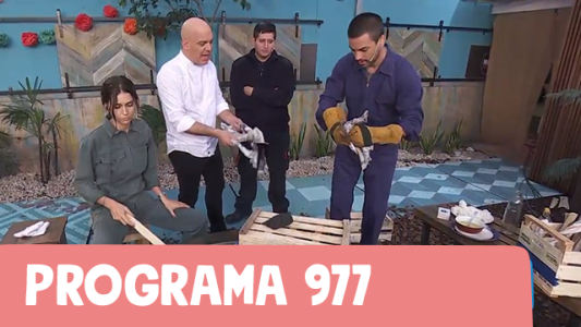 Programa 977