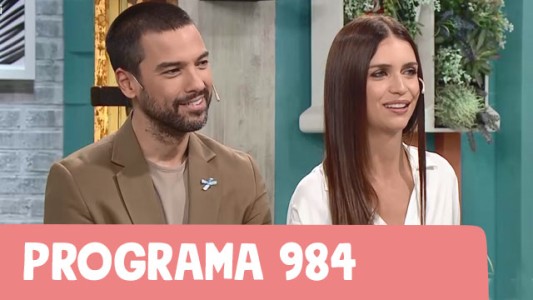 Programa 984
