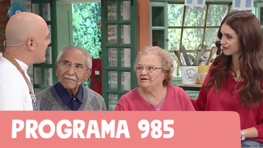 Programa 985