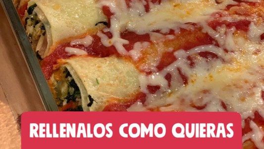 Canelones de verdura y pollo