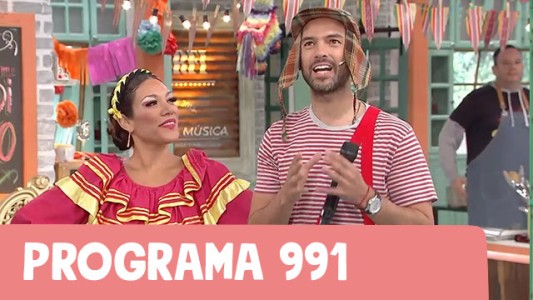 Programa 991