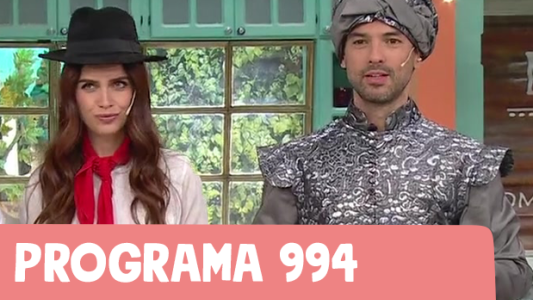 Programa 994
