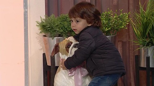 El hijo de Gustavo Conti se robó el perro de Vero