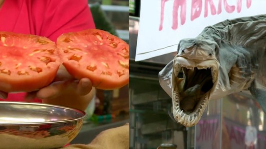 Tomates gigantes y tiburones: conocé el Mercado de Valencia