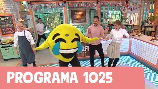 Programa 1025