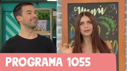 Programa 1055