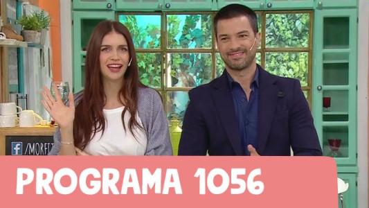 Programa 1056