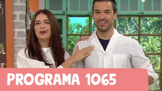 Programa 1065