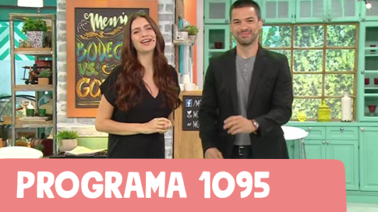 Programa 1095