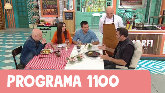 Programa 1100