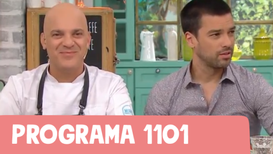 Programa 1101