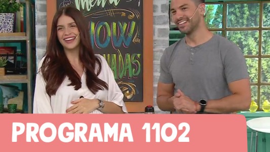 Programa 1102