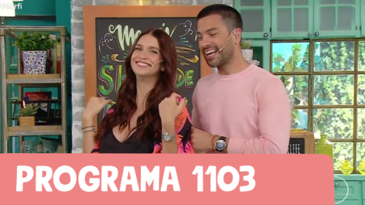Programa 1103