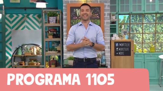 Programa 1105