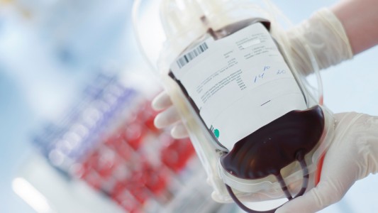 Todo lo que tenes que saber para donar sangre