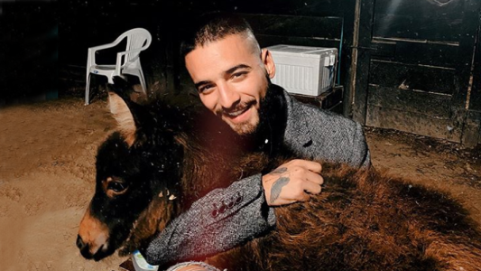 La excéntrica nueva mascota de Maluma