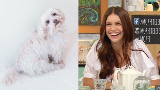 Quién es el verdadero padre adoptivo de “La China”, la perrita de Zaira