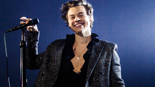 Los fans de Harry Styles y un pedido de compasión