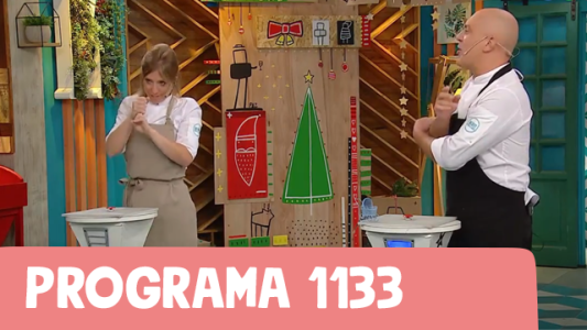 Programa 1133