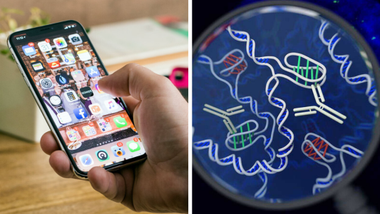 Una app de citas hará “match” según tu tipo de ADN