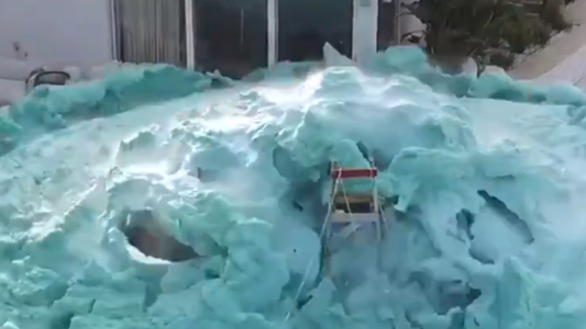 El alocado experimento científico que terminó de forma inesperada