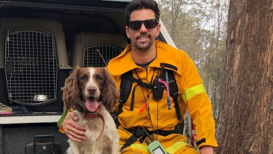 Taylor, la perrita que ayuda a salvar koalas en los incendios de Australia