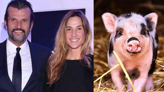 La fiscal de la investigación aseguró que se comieron al chancho que arrojaron del helicóptero