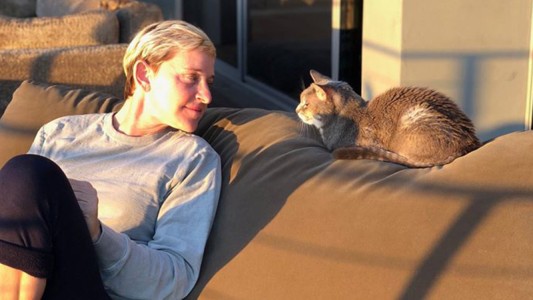 Ellen DeGeneres despidió a su mascota y convulsionó las redes