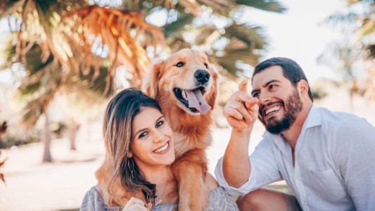 Polémica: ¿está mal llamar mascotas a los animales domésticos?