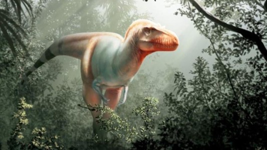 Hallaron en Canadá al dinosaurio "Segador de la muerte"