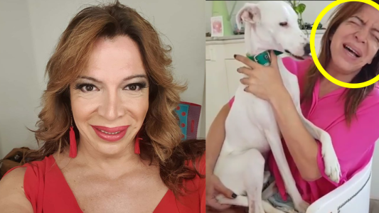 Lizy Tagliani es una apasionada por los perros: ¡Mirá todo lo que comparte con ellos!