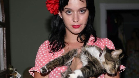 La tristeza de Katy Perry por la muerte de su gatita