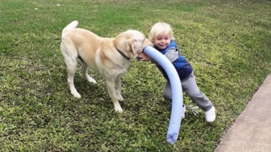 ¡La tierna coreo de Mirko con su perro Bailey!