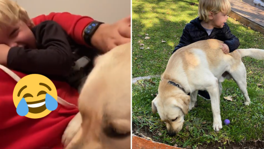 La gran tentada de Mirko jugando con Bailey