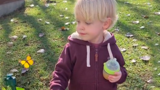 El tierno video de Mirko saludando a su huerta