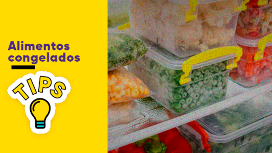 ¿Qué alimentos se pueden congelar?