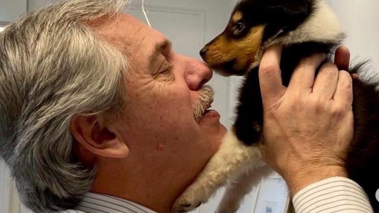La nueva mascota de Alberto Fernández