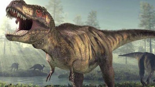 Encontraron el huevo de dinosaurio más chico del mundo