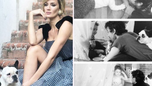 La tristeza de Paula Chaves y Pedro Alfonso por la partida de su perrita