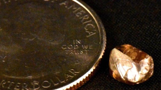 Visita un parque con su familia y encuentra un diamante