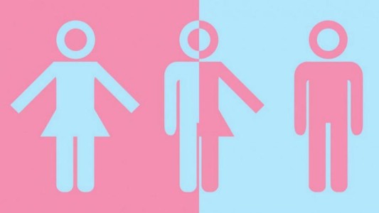 Proponen incorporar una nueva opción en la categoría "sexo" del DNI